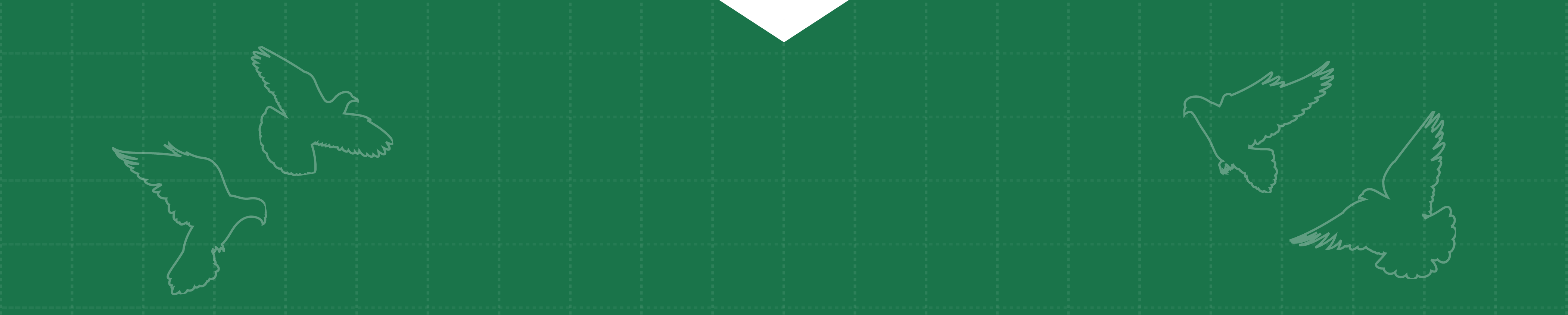 sec1_bg3