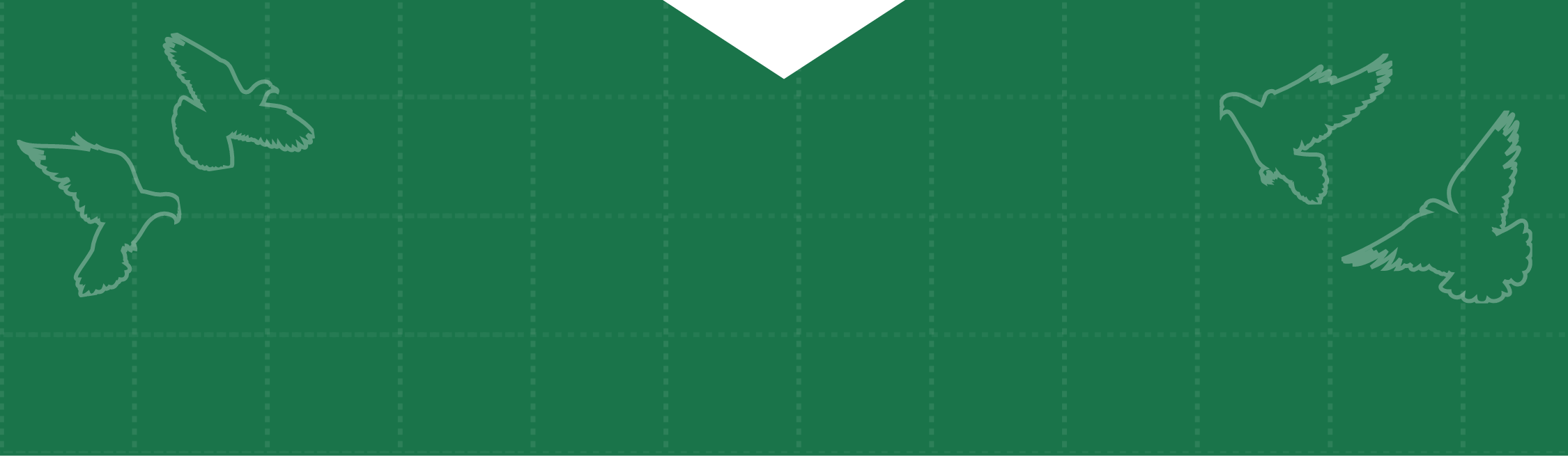 sec1_bg3_sp