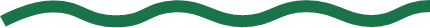 sec1_h2_line